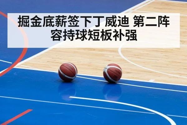掘金底薪签下丁威迪 第二阵容持球短板补强